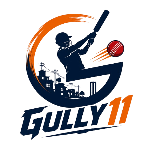 Gully11